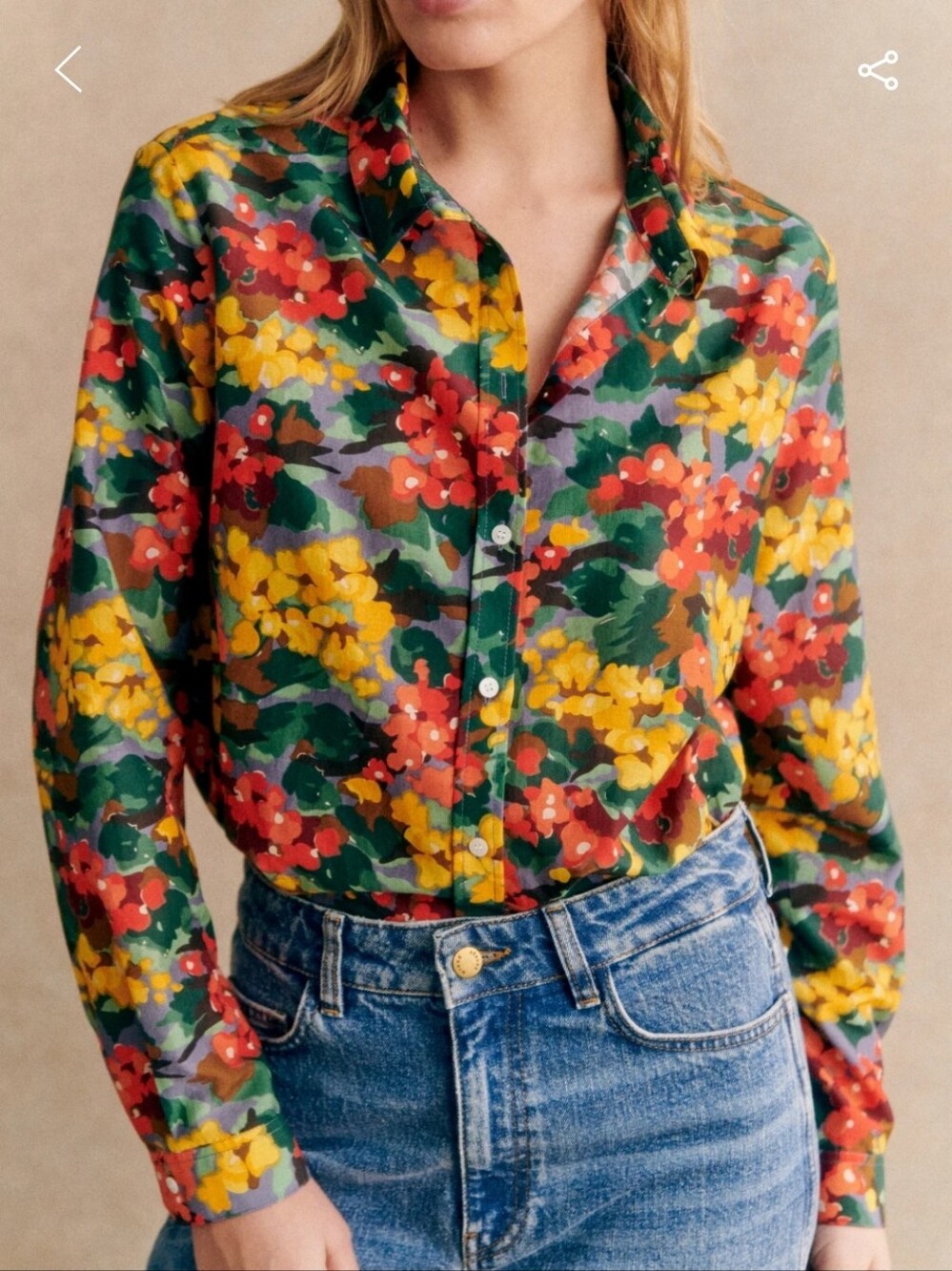 Sezane Pierro Floral Button-Down Shirt - Green/Yellow/Red